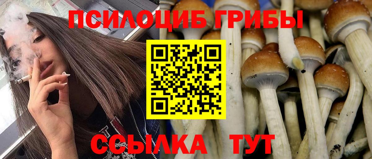 Псилоцибиновые грибы прущие грибы Тара