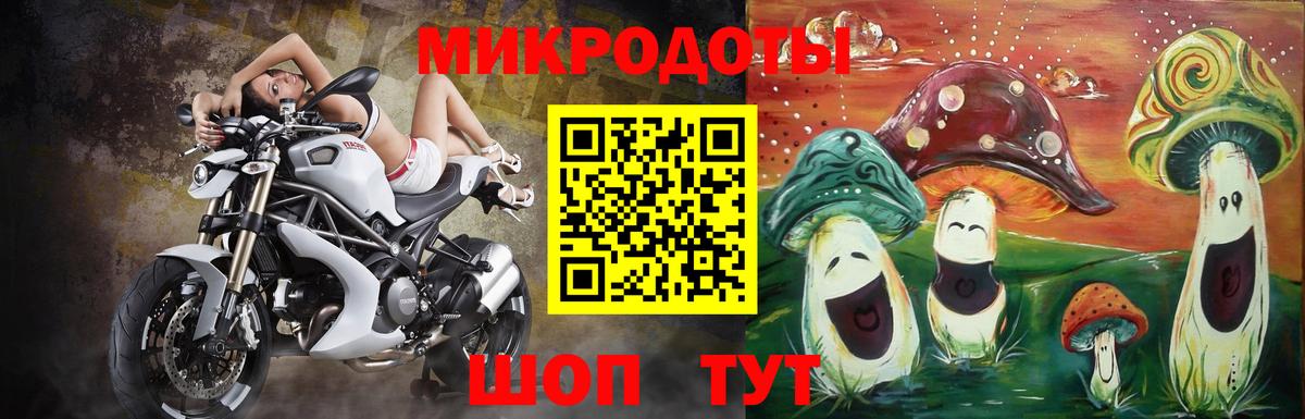 продажа наркотиков  Галлюциногенные грибы Psilocybine cubensis  Вход с VPN  Тара 